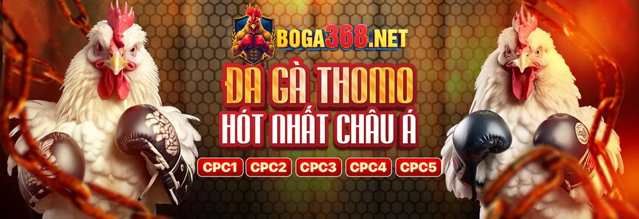 Hình ảnh minh họa các biện pháp bảo mật của VN23