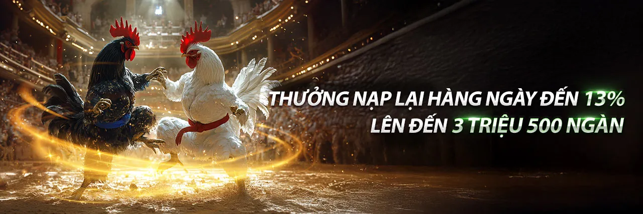 Sân đấu đá gà trực tuyến sôi động tại vn23 khuyến mãi