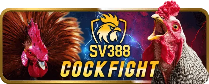 Cập Nhật Ưu Đãi Thể Thao VN23